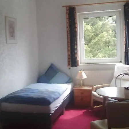 Gasthof-pension Waldfrieden 2* Medebach