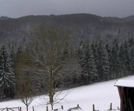Gasthuis Gasthof-pension Waldfrieden Medebach